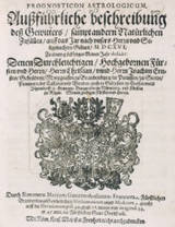 Marius_1616-23000_preview.jpg