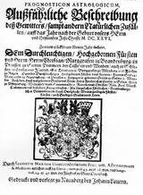 Marius_1626-23010_preview.jpg